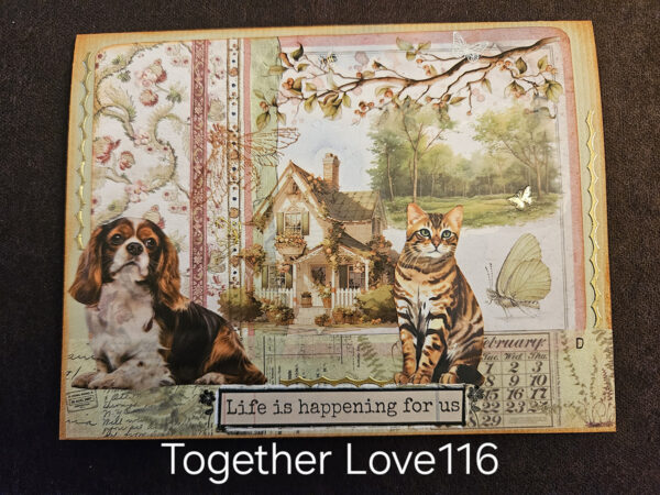 Cats and Dogs Design 116